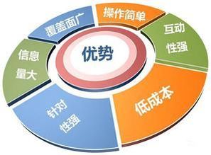 图 从爱问知识人到深圳网站建设推广的代理服务新视野